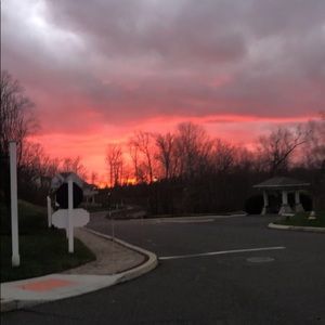 Meet your Posher, Maya